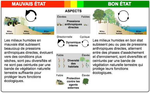 Figure 1 Schéma conceptuel de l’évaluation de l’état des superficies de milieux humides