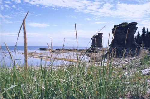 Herbage et formation rocheuse en bordure du Saint-Laurent