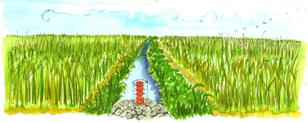 Illustration representing water retention using an inlet