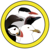 État des populations d’oiseaux marins