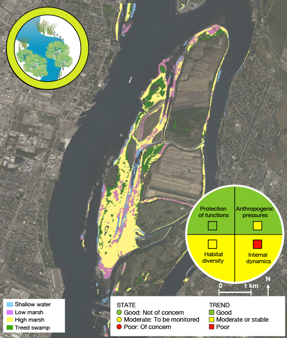 Map of wetlands on the Boucherville Islands in 2010