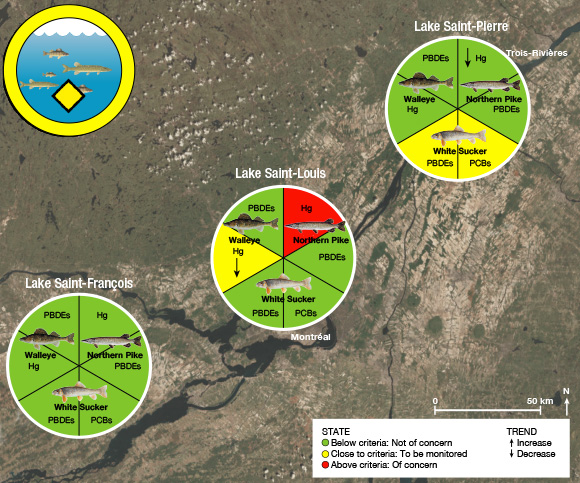 State of the indicator for contamination of fish