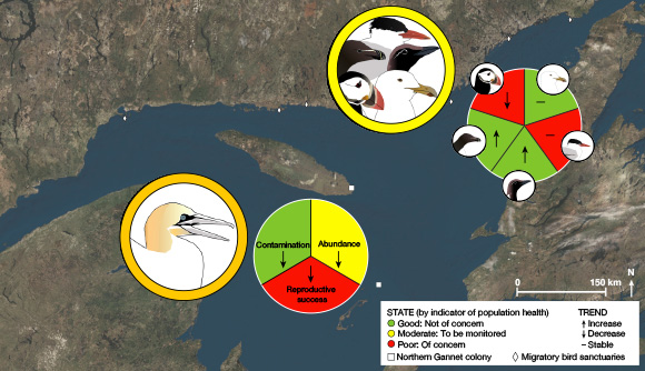 State of indicators for seabirds and the Northern Gannets