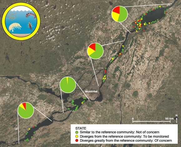 State of the benthic macroinvertebrates indicator
