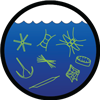 Phytoplankton communities